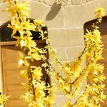 Holiday home El Corral De San Juan