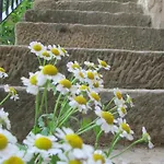 El Corral De San Juan Holiday home Uncastillo