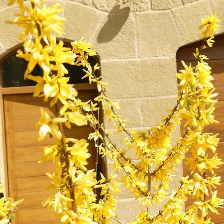 Dom wakacyjny El Corral De San Juan