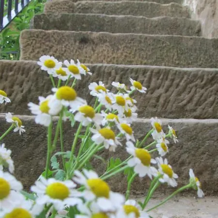 El Corral De San Juan Dom wakacyjny Uncastillo