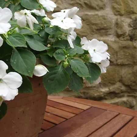 Dom wakacyjny El Corral De San Juan *