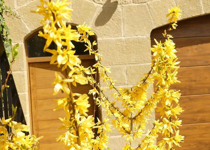 Hébergement de vacances El Corral De San Juan