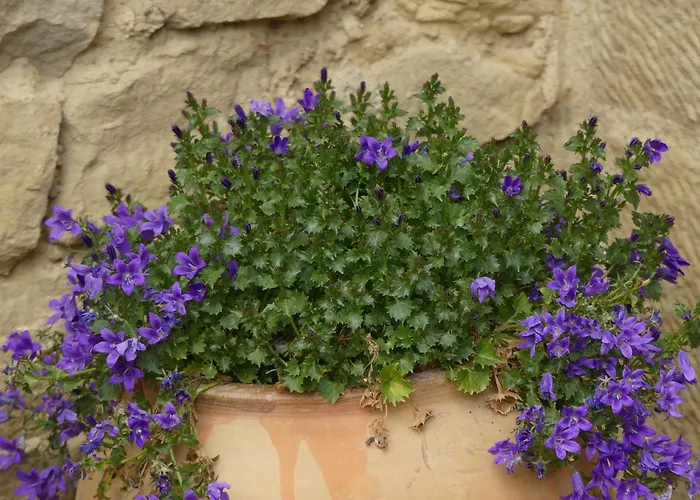 El Corral De San Juan