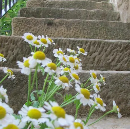 El Corral De San Juan Hébergement de vacances Uncastillo